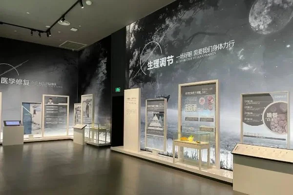 龙子湖区展厅如何打造独具特色